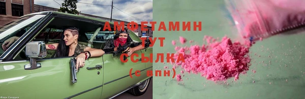 твердый Арсеньев