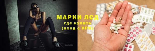 твердый Арсеньев