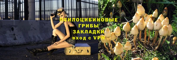 дмт Нягань