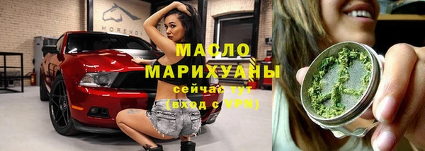 твердый Арсеньев