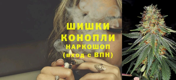 амф Аркадак