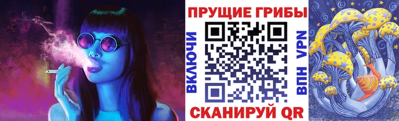сколько стоит  Ступино  omg tor  Псилоцибиновые грибы MAGIC MUSHROOMS 